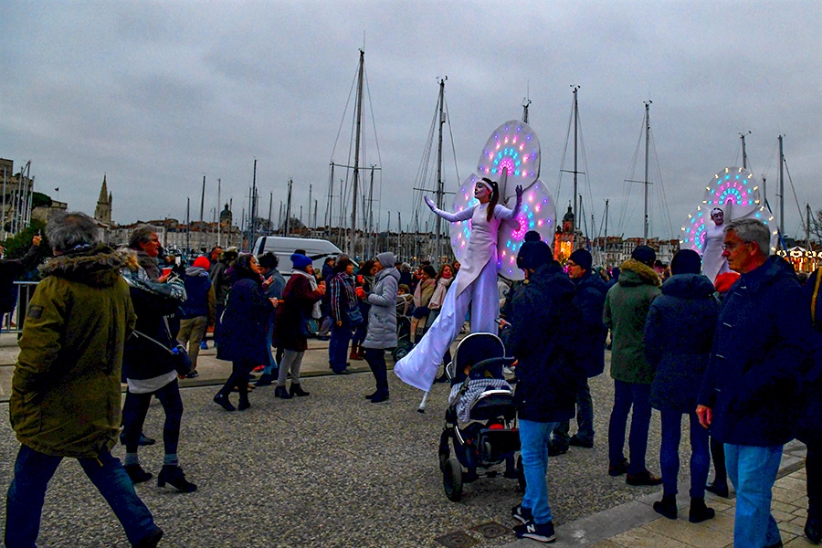 Nymphéas en balade sur le port de La Rochelle