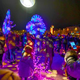 Photographies Nymphéas public