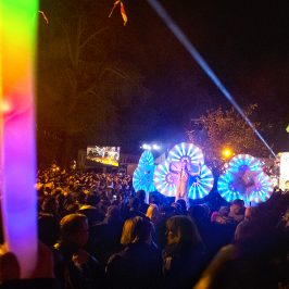 Nymphéas, échassiers blancs lumineux colorés pour la mise en perce