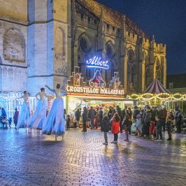 Noël à Sens avce des échassiers lumineux