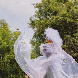 Des Féérix et des cigognes