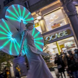 Les Nymphéas échassière lumineuse à Angers