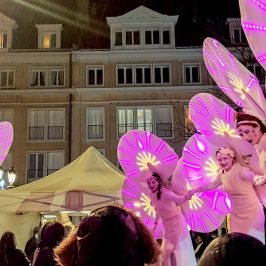Spectacle lumineux : 8 Nymphéas à Beauvais