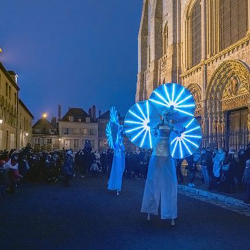 Des échassiers lumineux à Chartres