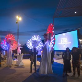 Echassiers lumineux en Loire Atlantique