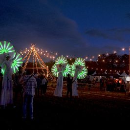 échassiers lumineux en festival