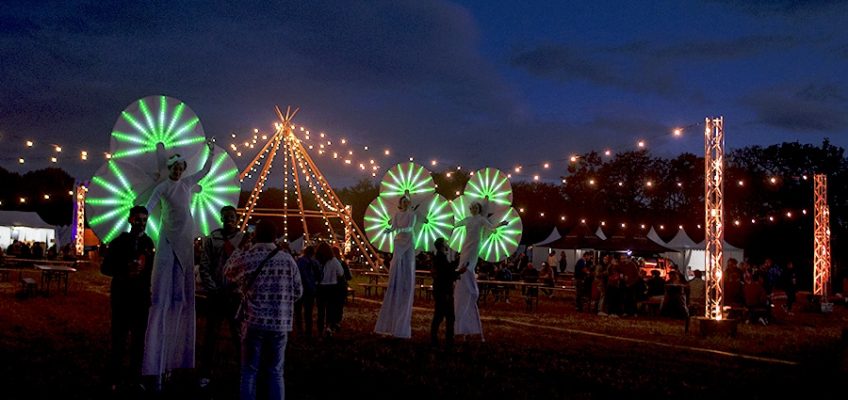 échassiers lumineux en festival