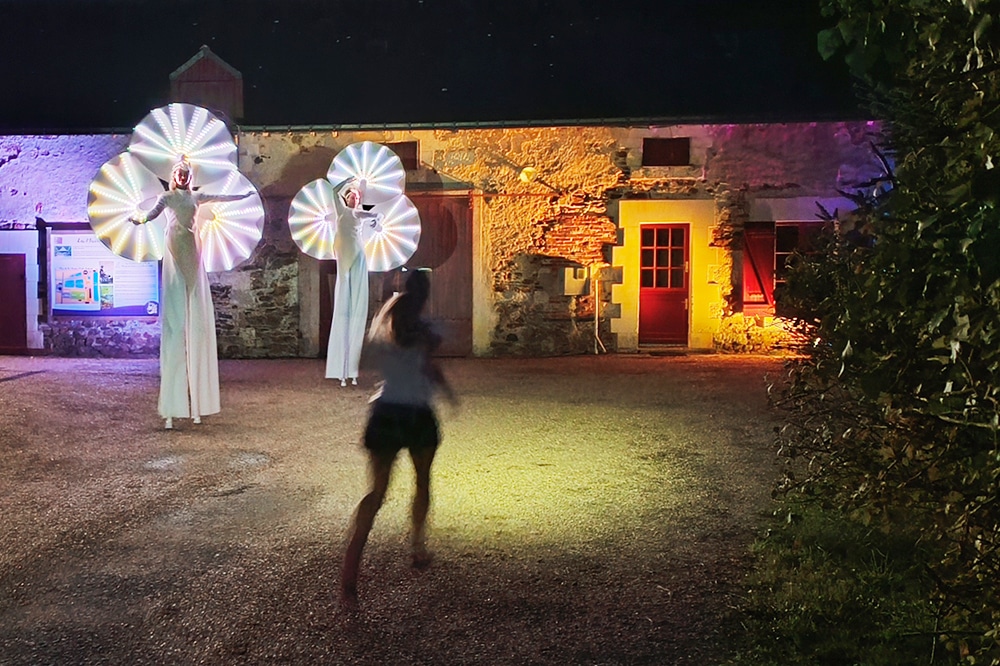 Animation lumineuse, les Nymphéas en Anjou