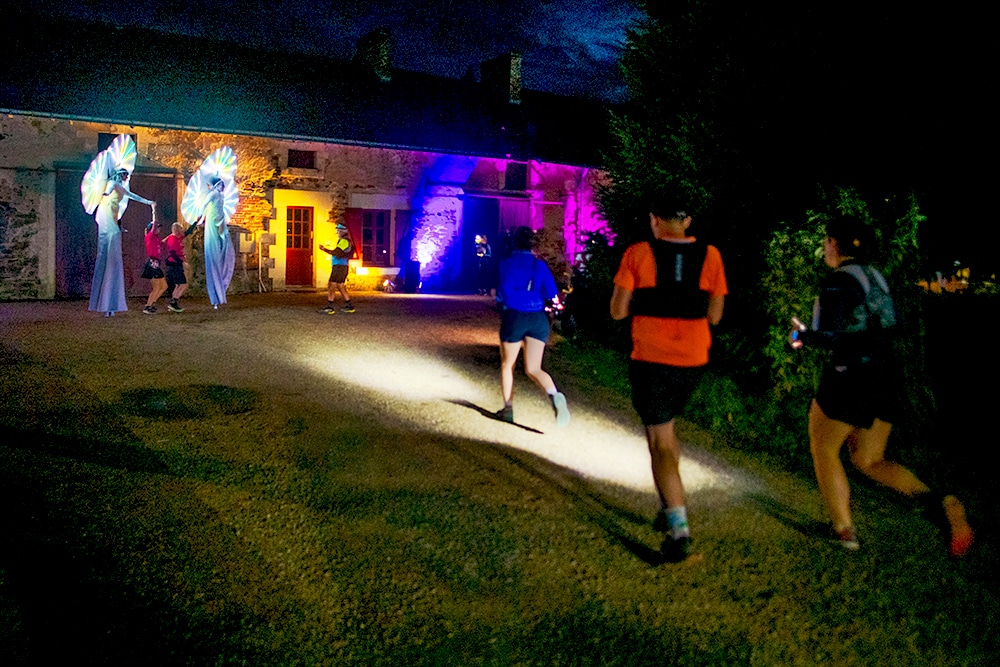 Animation lumineuse, les Nymphéas en Anjou