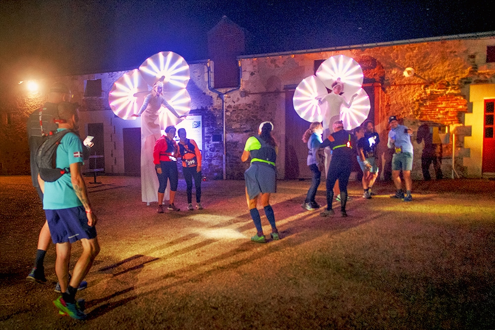 artistes lumineux les Nymphéas