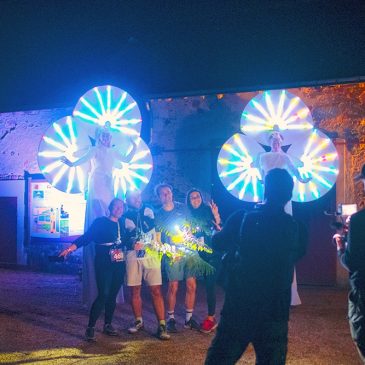 Animation lumineuse au milieu des vignes angevines